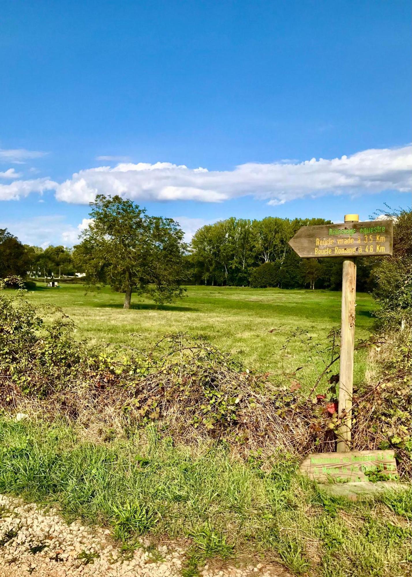 Lapartment Du Perigord Javerlhac-et-la-Chapelle-Saint-Robert المظهر الخارجي الصورة